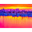 Burning Sunrise In Harbor Drive, San Diego Print by Brian Mc Clean-65807883-65807884