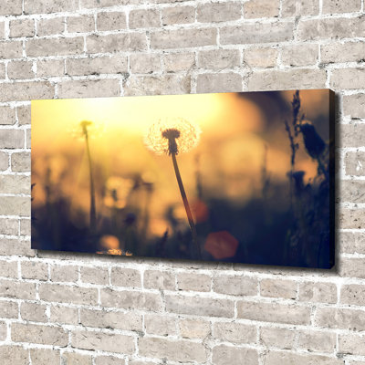 Dandelion - No Frame Print on Glass