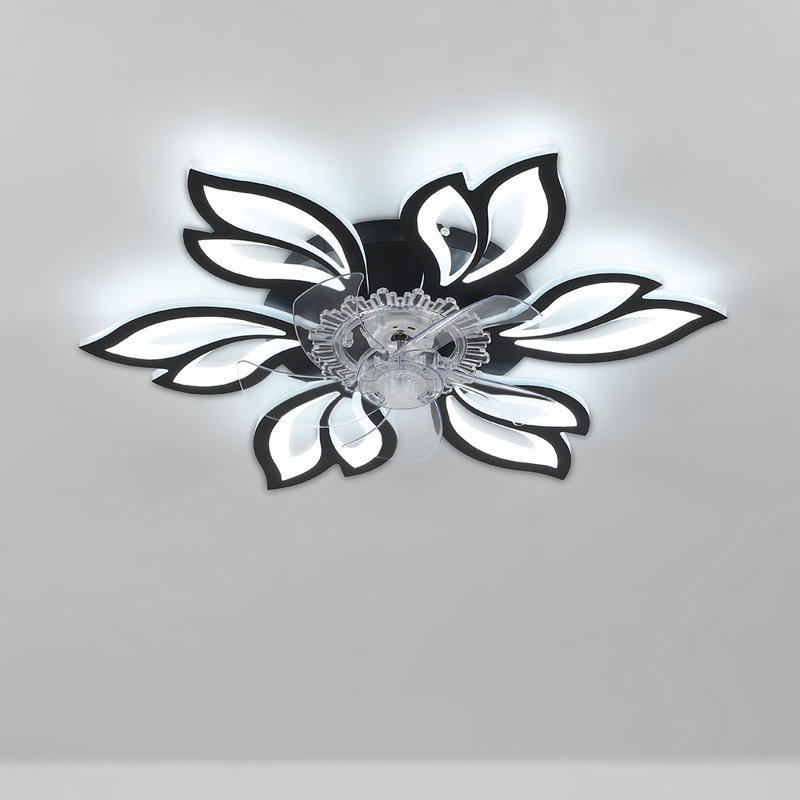 Armentha 65cm Ceiling Fan with LED Lights, Black