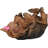 Najeeb Canine Dog Carrier