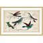 «Hummingbirds», reproduction encadrée-18829404