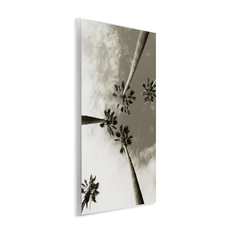 «Centric Palm Trees» par Wil Stewart, H 19 po x l 13 po
