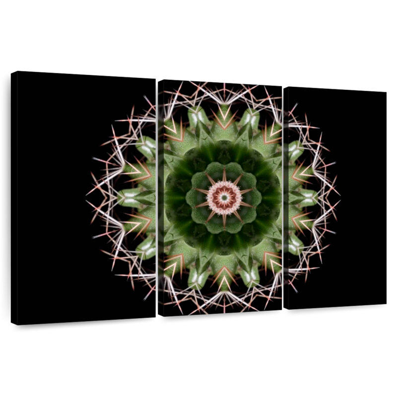 Harnek Mandala Cactus, H 42 po x l 65 po