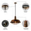 Luminaire suspendu 1 lumière DEL avec détails-1368246887