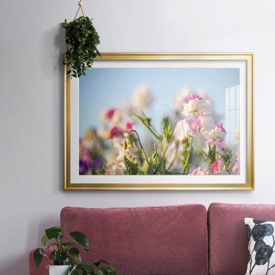 Printemps pétales encadrés sur papier