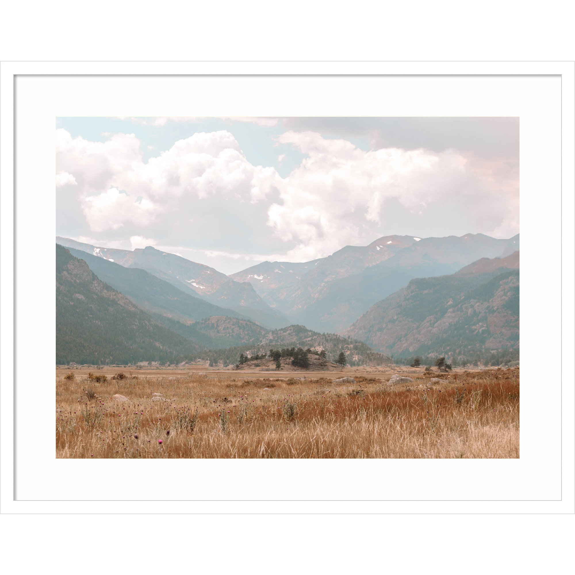 Wanderings by Alicia Abla, White, 26" H x 33" W x 1" D