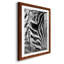 Zebra Colt - Photographie avec cadre photo-1635737524-1635737523