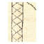 Geometric Area Rug