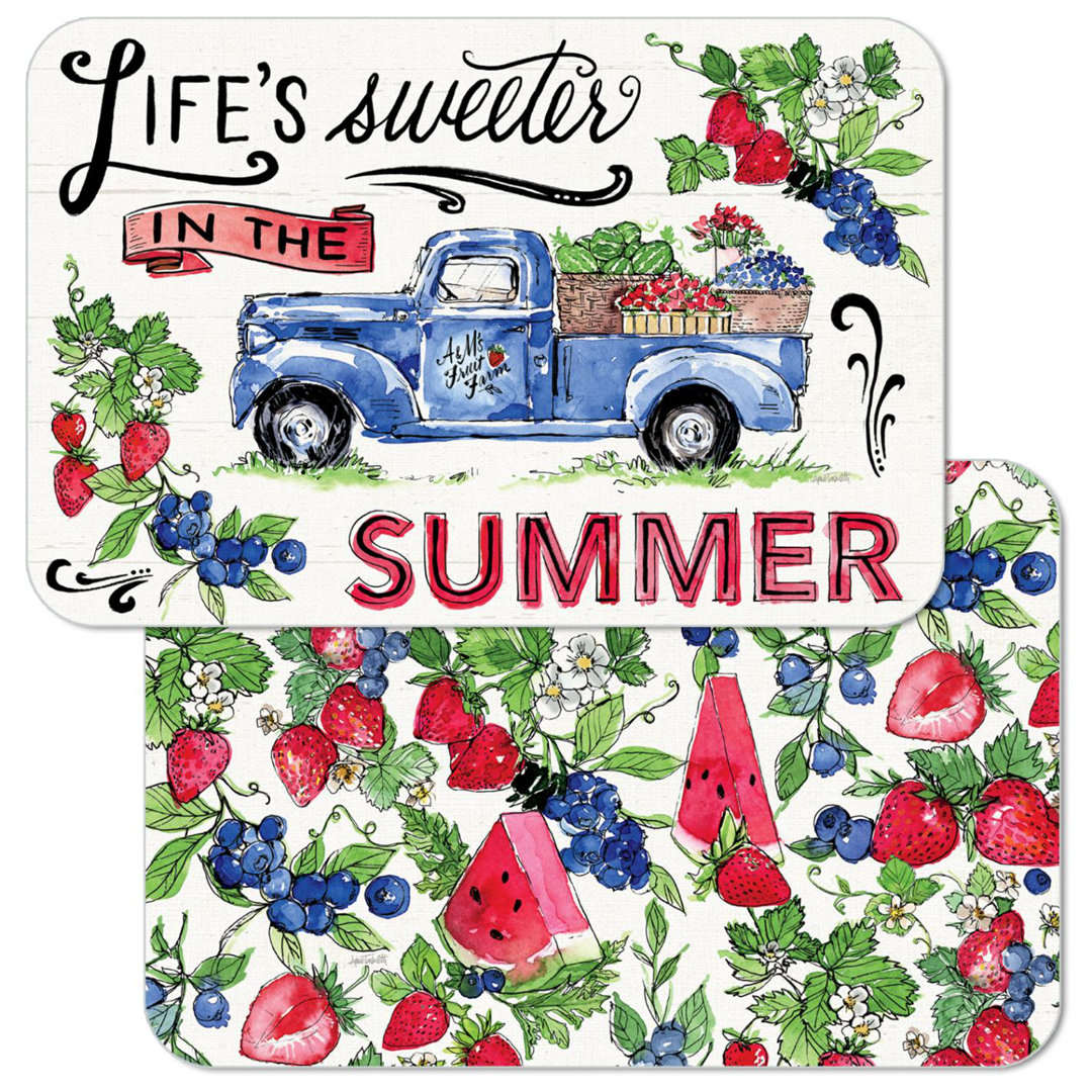 Sweet Summer 4 Piece Reversible Easy Care Plastic Placemats CounterArt