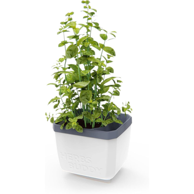 Herbs Buddy Self-Watering Planter Pot for Herbs, Special Water Level Indicator, 1, White