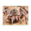 No Frame Print on Canvas-100038957