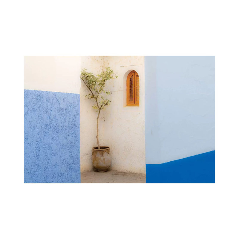 Africa, Morocco, Asilah. Potted Tree And Painted Walls. by Jaynes Gallery - Wrapped Canvas Print, 66.04 cm H x 45.72 cm W
