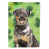 Rottweiler sélectionné