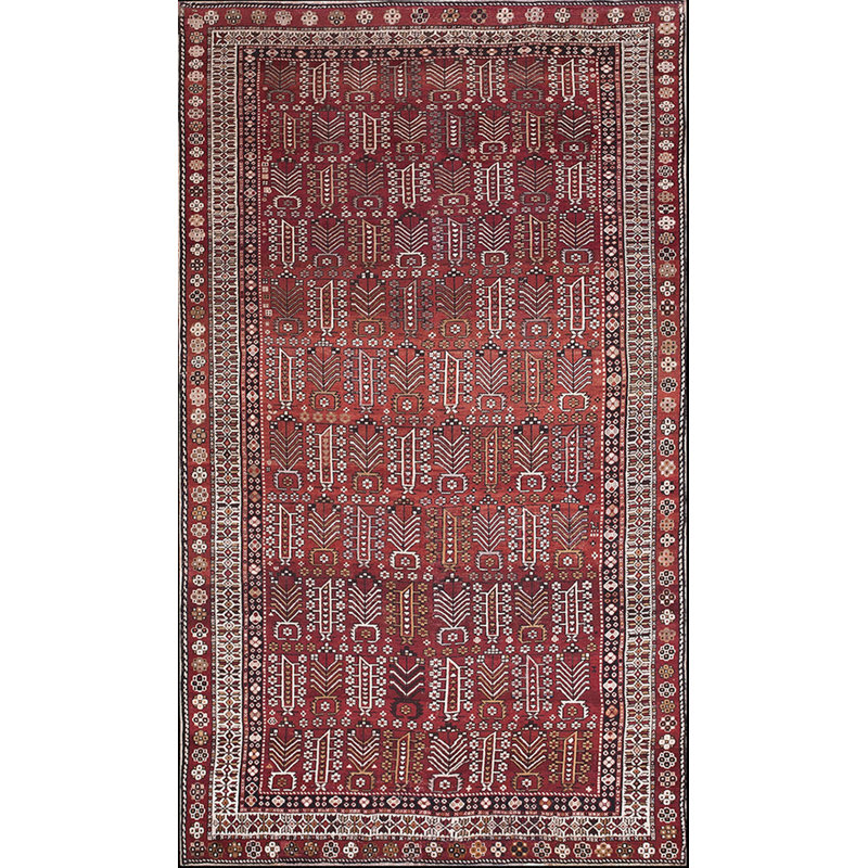 Tapis Shirvan