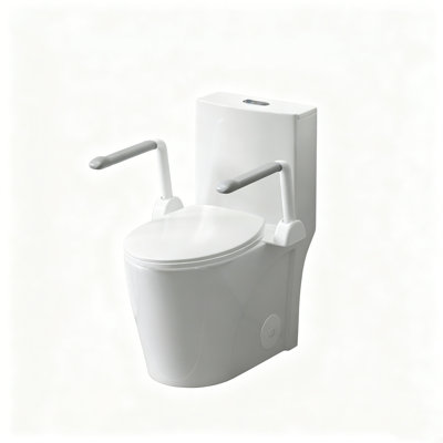 ADA Height One-Piece Toilet with Armrest, Tornado Flush 1.1/1.6 GPF, Soft Close Seat, MAP 1000G