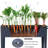 Xiamen Hong Yun Xin Metal Products Co., LTD Fruits / Vegetables