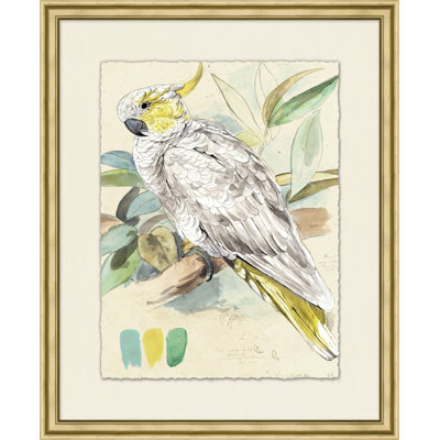 Lewin's Parrots 1 Painting