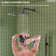 10" High-Pressure Wall Mount Rainfall Tub And Shower Faucet with Rough-in Valve