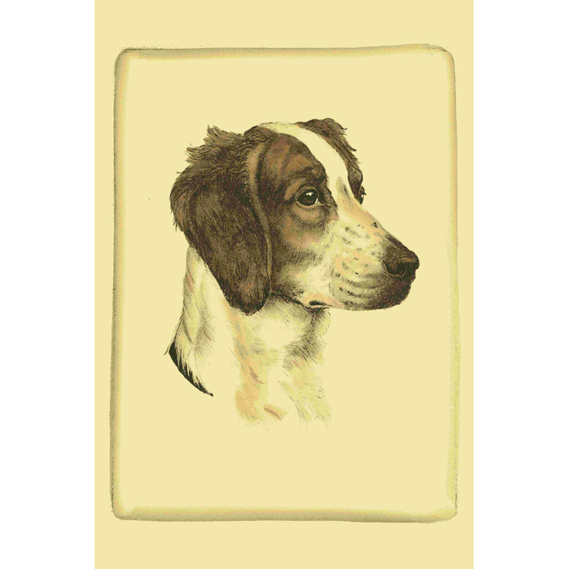 Prnt Danchin Brittany Spaniel (ST), H 18 po x l 12 po