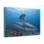 No Frame Print on Canvas-1355251776