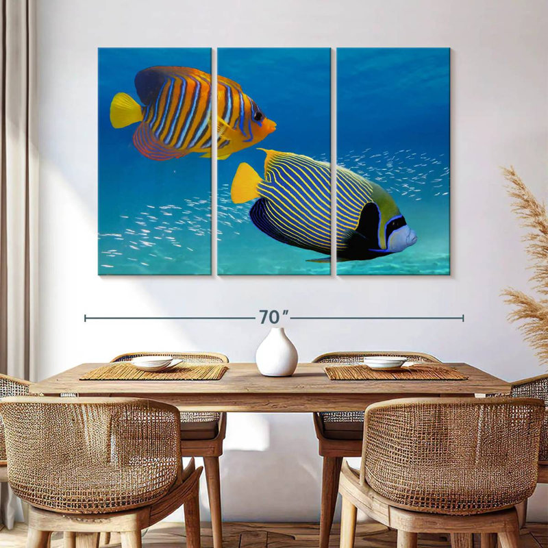 Poisson-ange exotique empereur, H 42 po x l 65 po