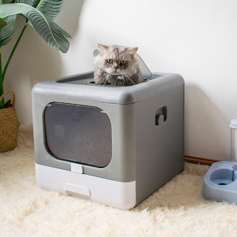 Bac à litière pour chat