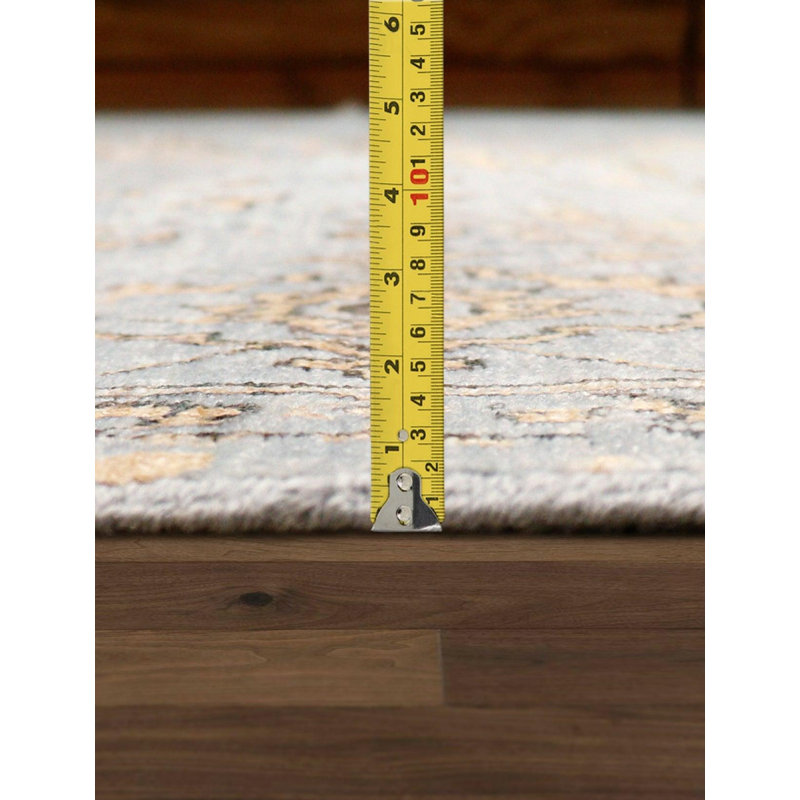 Canvello Transitional Hand Knotted Bsilk & Wool Area Rug - 8'11" X 11'9"