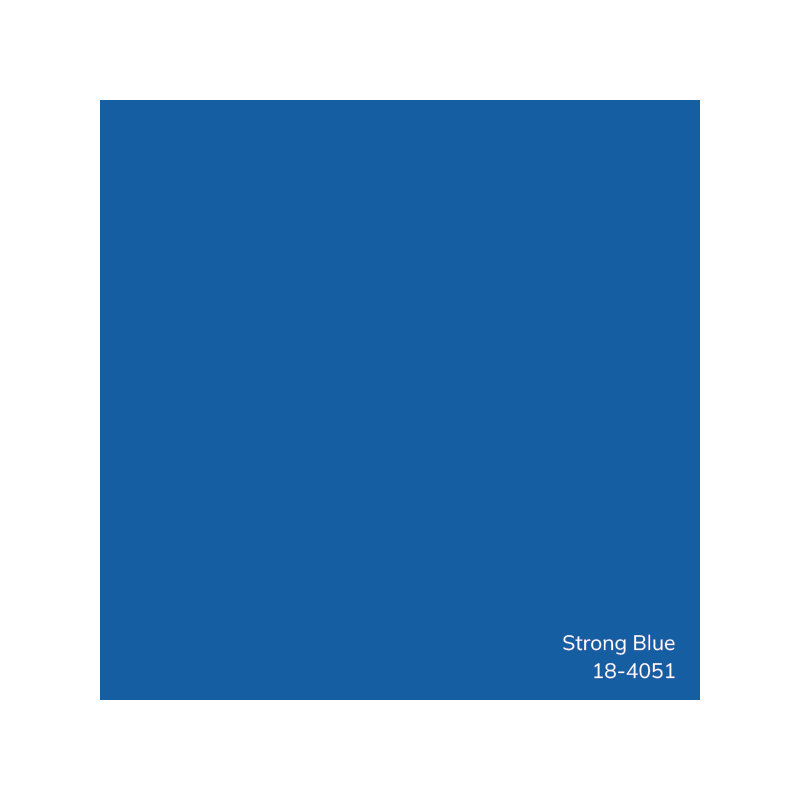 Edgar Square 100% Cotton Pillow, Dark Blue, Polyester/Polyfill, 18"H x 18"W