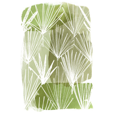 Patch Palms II - Wrapped Canvas Print