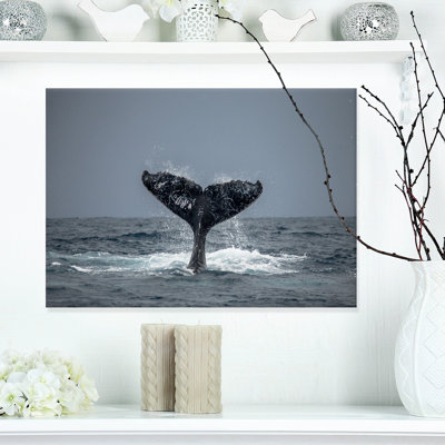 " Large Humpback Whale Tail "