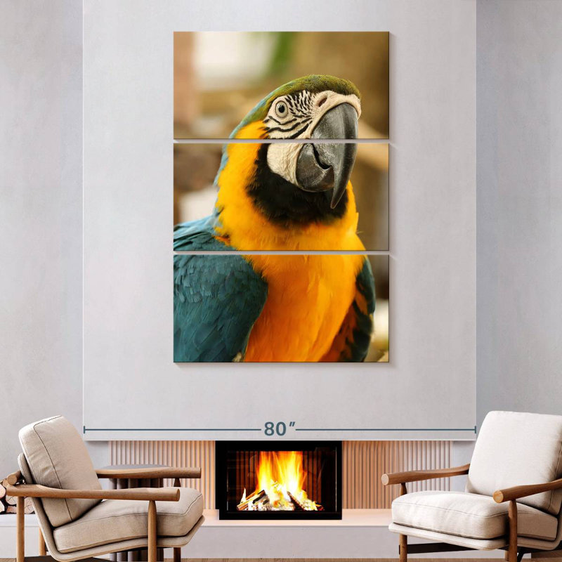 Brampt Exotic Macaw, 74" H x 48" W