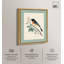 «Orchard Oriole», reproduction d'art sur toile par Art Remedy-118168391-118168395