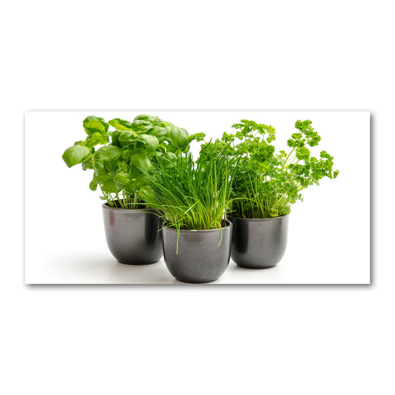 Herbs In Pots - Wrapped Canvas Print