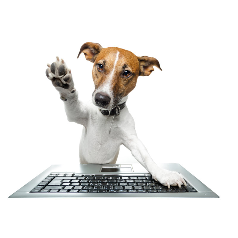 Dog Browsing The Internet by Damedeeso - Wrapped Canvas Print, 81cm H x 122cm W x 3.8cm D