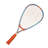 Speedminton Badminton with Carrying Case