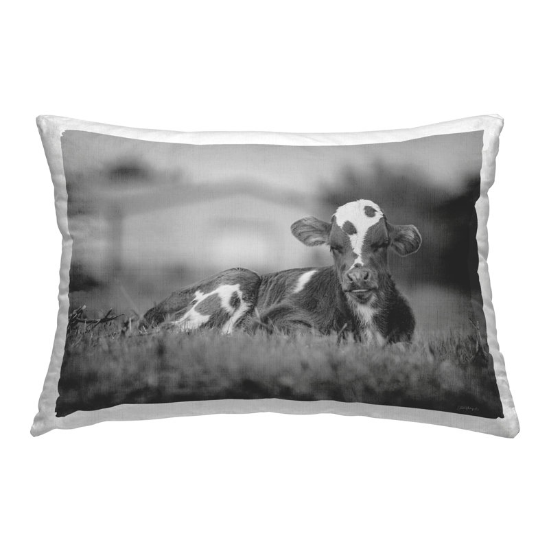 Coussin décoratif imprimé «Lounging Cow in Grass» par Dakota Diener