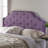Button tufted design headboard with nailhead trim-2020287271