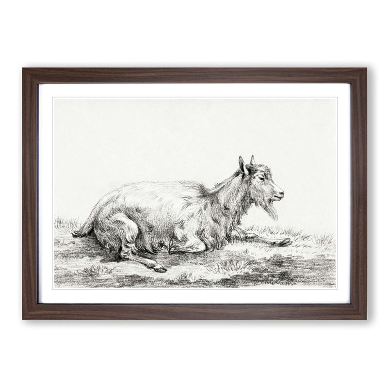 Resting Goat by Jean Bernard - Picture Frame Drawing Print, 36cm H x 48cm W x 2cm D, Walnut Framed