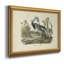 Audubons Louisiana Heron - peinture sur toile encadrée-212537133