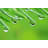 " Rain Drops On Pine Needles " by Acik-345202471
