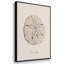 Shore Treasure Study I, ensemble de 3 toiles encadrées-97706579-97706576