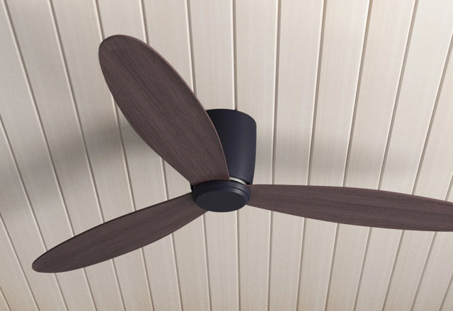 Cool Down: New Ceiling Fans
