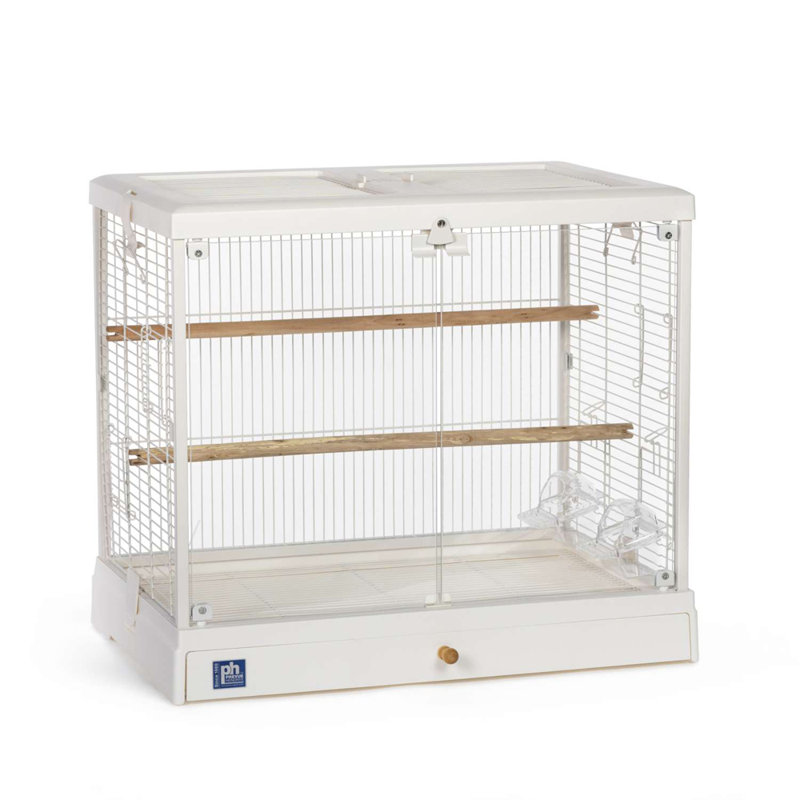 Cage à oiseaux 21 po Ephrain