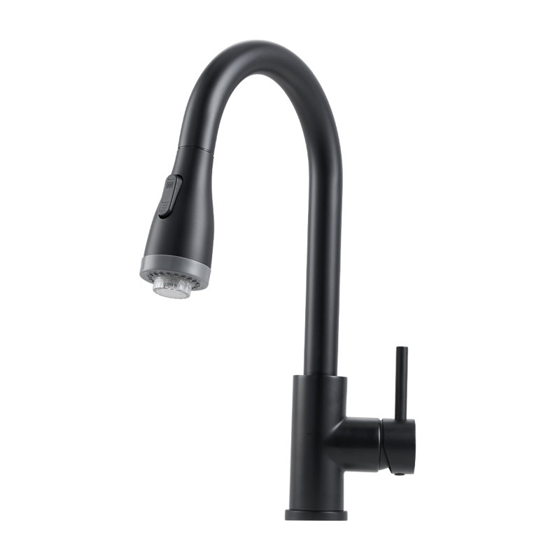 Belfry Kitchen Pull Out Kitchen Faucet, Black