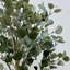 Faux arbre eucalyptus botanique en pot dans une jardinière en fibre de verre beige, hauteur de 69 pouces