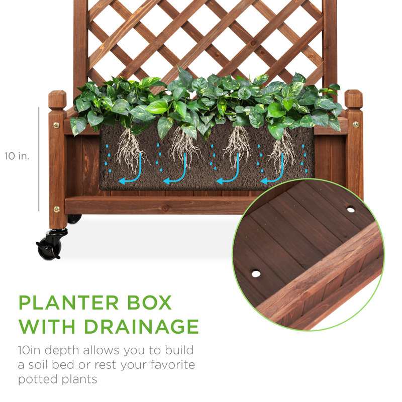 Set of 2 Walnut Fir Wood Planter Box with Trellis