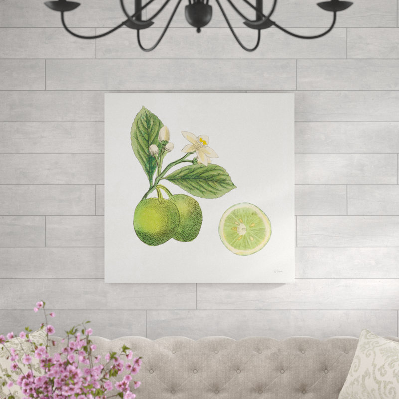 Classic Citrus III by Sue Schlabach - Wrapped Canvas Print, 91cm H x 91cm W