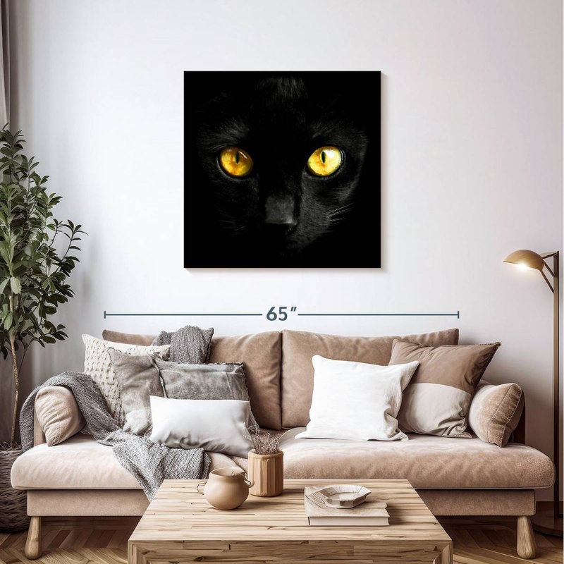 Chat noir aux yeux jaunes Brampt