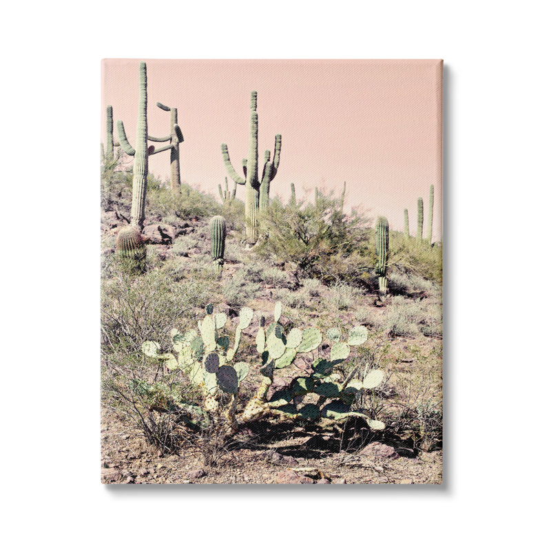 «Summer Dessert Landscape Cactus Prickly Pear», photographie sur toile tendue rose, H 48 po x l 36 po x P 1,5 po