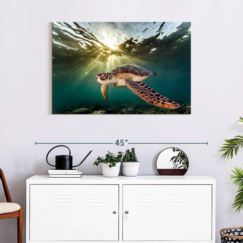 Brampt Philippine Green Turtle, 24" H x 36" W